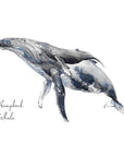 Humpback Whale - Personalised Watercolour Fine Art Print