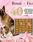 40 Count Dog Macaron Treats Gift Box