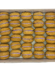 40 Count Dog Macaron Treats Gift Box