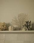 Seaweed & Samphire Diffuser