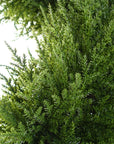 Leaf 120cm Sprial Cypress Tree Artificial-2