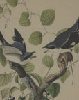 Shrikes wall art with beaded frame, linen background, brown tones, from Flora & Fauna Collection, 50x40 cmby Sostter at brixbailey.com