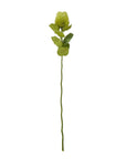 Green Faux Banksia Flower Stem