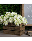 Lifelike white lace cap hydrangea with clustered florets, UV-resistant plastic stems, 48cm tall for year-round arrangements by sostter at brixbailey.com
