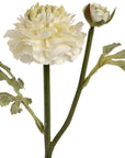 Fresh Green Ranunculus Bouquet | Elegant Floral Spray