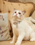 Gloss Collar