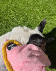 Mini Dog Towel + Clip, Dusty Pink & Green
