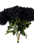 Pack of 6 x Artificial Flowers Extra Large Reflex Chrysanthemum - Black 75cm-0