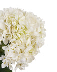 White Hydrangea Faux Stem