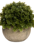 Lifelike artificial Hebe Veronica plant in stone-effect pot, perfect for desks or shelves, no maintenance needed. by sostter at brixbailey.com