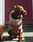 Burgundy Merino Lambswool Dog Jumper