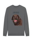 Feast Mode Activated: The Chocolate Labrador Sweatshirt
