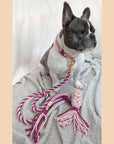 Make Your Own Dog Lead Craft Kit - PINK
