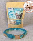 Make Your Own Dog Collar Craft Kit - MINT