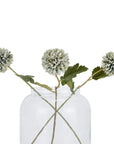 Pale Blue Green Chrysanthemum Stem