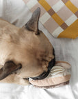 Éclair enrichment dog toy