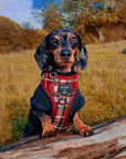 Tartan Me Up - Red & Cream Tartan Dog Snood