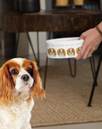 Royal Tableware: Cavalier King Charles Spaniel Ceramic Dog Bowl for Distinguished Diners
