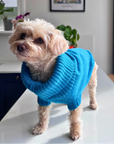 Cerulean Blue British Wool Dog Jumper