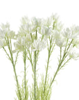 Pack of 6 x Artificial Flowers White Starflower Stem - 5 Flowers 60cm-0