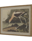 Elegant Beaded Frame Avocet Art | Flora & Fauna Collection