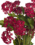 Vibrant Red Viburnum | Stunning Autumn Blooms