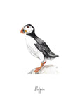 Puffin - Personalised Watercolour Fine Art Print