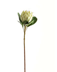 Large White Faux Protea Stem