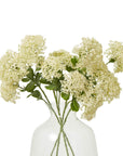 Soothing Cream Sedum Spray | Hydrating Skin Mist