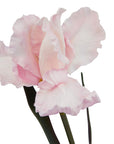 Pale Pink Fringed Iris Stem Artificial Flower