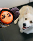 Pup Cup Cafe Doggo's Java