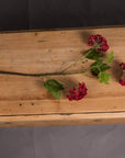 Vibrant Red Viburnum | Stunning Autumn Blooms