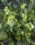 Lifelike artificial sweet pea trail with soft pastel blooms, perfect for wedding decor or elegant home arrangements by sostter at brixbailey.com