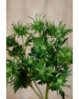 Green Sea Holly Artificial Stem Coastal Bloom