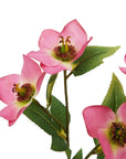 Artificial pink hellebore flower with variegated petals, 47 cm tall, plastic stem for year-round freshness.by Sostter at brixbailey.com