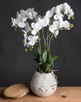Lifelike white faux orchid in rustic stone pot, 70cm tall with realistic blooms and soil detailing. by sostter at brixbailey.com