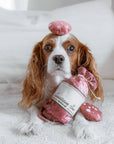 Saucisson Enrichment Dog Toy