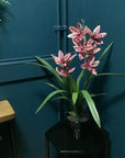 Artificial Flowers Orchid Black Ceramic Planter Dark Pink 50cm-0
