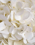 Oversized white artificial hydrangea with lifelike blooms for elegant home decor by Sostter at brixbailey.com
