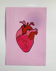 Pink and red anatomical heart hand drawn art print in A5 or A4