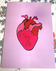 Pink and red anatomical heart hand drawn art print in A5 or A4