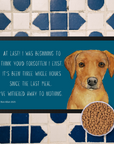 Starving Since Breakfast Pet Bowl Mat – Featuring the Fox Red Labrador