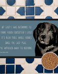 Starving Since Breakfast Pet Bowl Mat – Featuring the Black Labrador