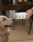 Golden Retriever’s Gourmet Bowl – Because Waiting is HARD