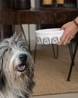 Bearded Collie Bowl – For the Hairicane Who Dines Like Royalty