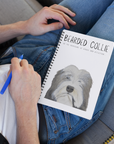 The Bearded Collie Notebook of Genius: Paws, Chaos and Scribbles