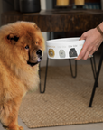 Chow Time in Style: Ceramic Dog Bowl Featuring a Chow Chow!