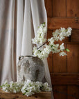 White artificial cherry blossom stem with delicate petals, 100 cm tall, perfect for spring floral arrangements.by Sostter at brixbailey.com