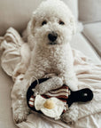Breakfast Set enrichment dog toy