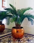 Palm Tree Artificial Cycas 80cm-0